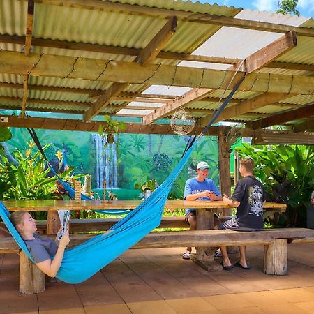 On The Wallaby Eco Lodge يونغابورا المظهر الخارجي الصورة
